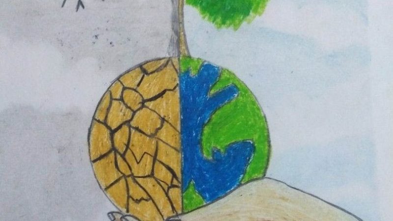 老年人种植牙：价格之外，还需关注这些**