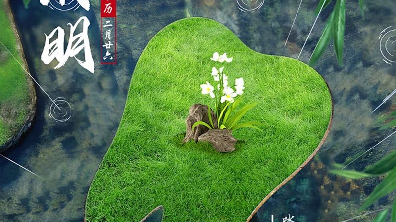牙齿矫正全流程揭秘：从咨询到恢复，每一步都重要